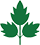 Celery