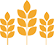 Gluten / Wheat