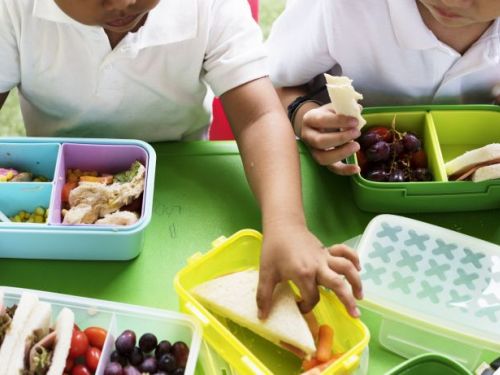 An Easy Guide for Creating a Fun and Delicious Lunchbox