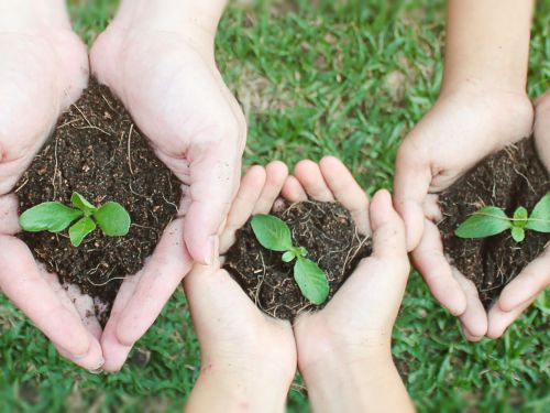 Summer Holiday Activities For Children