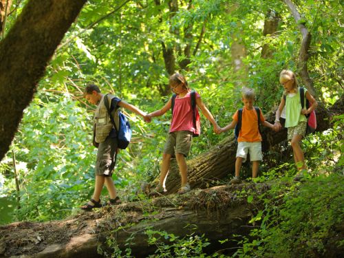 Fun Activities for Under 5s in October Half Term
